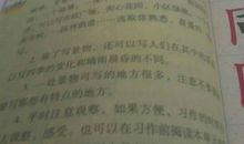 生活中的发现作文300字