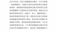 生活中的小镜头作文300字