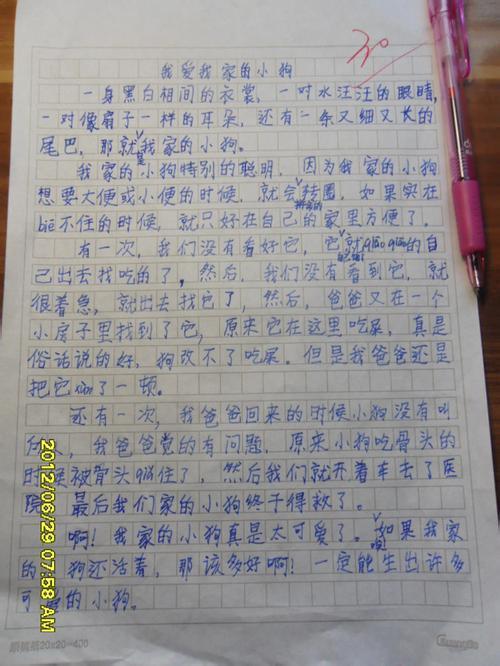 关于保护野生动物的400句话