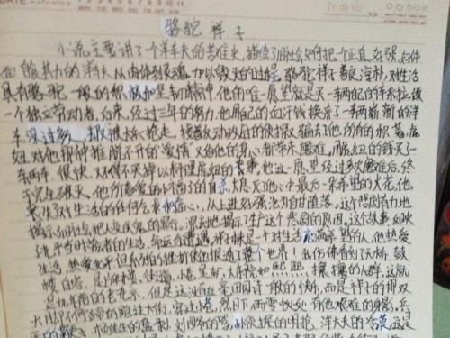 祥子骆驼读550字后的思想