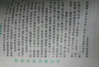 家乡小吃组成400字