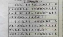 真情让我感动作文