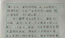 什么的温暖作文