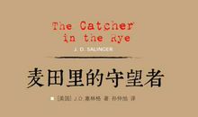 麦田里的守望者读后感800字