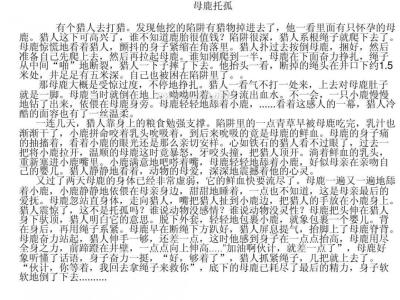 看完藏羚羊的故事