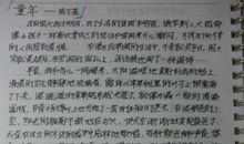 童年的读后感50字