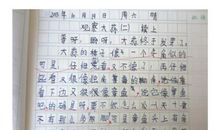 包饺子日记200字