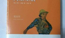 《梵高传》读后感