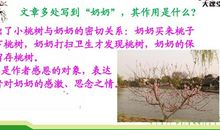 我的小桃树读后感