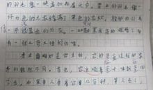 如果我变成什么的作文