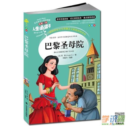 读巴黎圣母院后的50个字