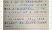 假如我是老师作文