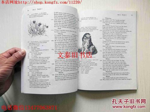 哈姆雷特英文读后感