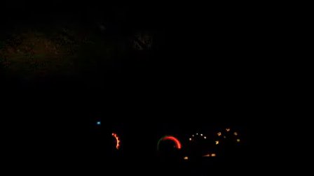 生动的夜晚作文