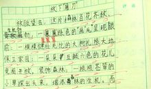 三年级作文夸夸我的同学