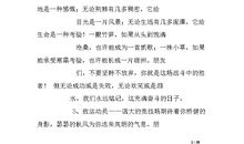 秋季运动会通讯稿