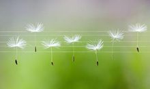 不平凡的教育人生——读《追求》有感