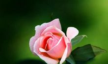 我懂得了珍惜生命