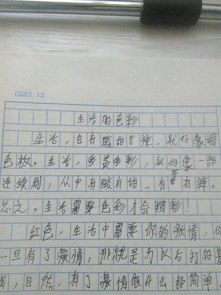我妈妈的日记100字