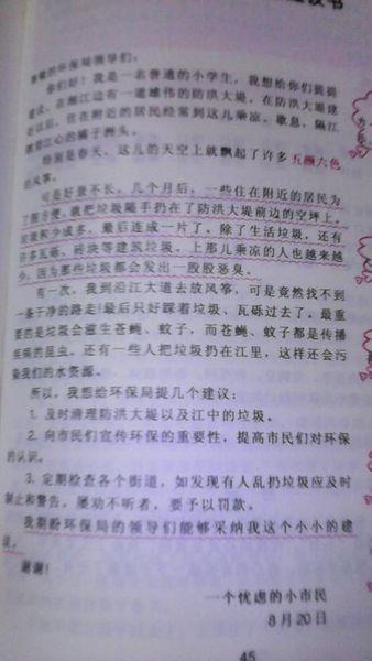 阅读音乐作文600字