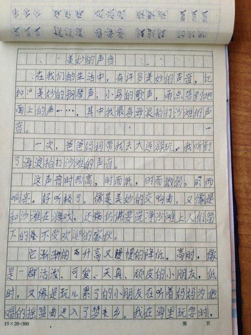 200字保护鸟类