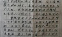 玩电脑的作文300字