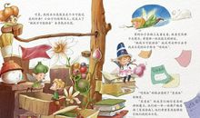 魔法小仙子读后感