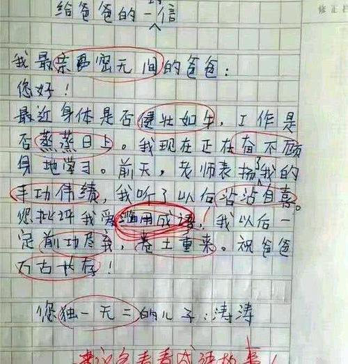 我母亲的一年级日记