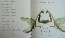 昆虫记章节读后感