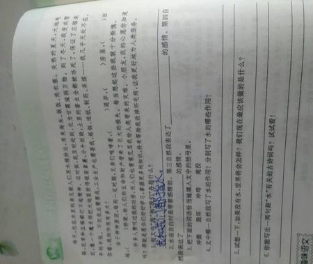 600个单词的自我报告水