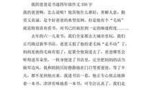 四年级除夕之夜作文400字