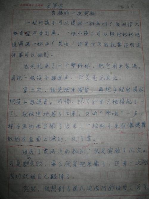 有趣的实验组成