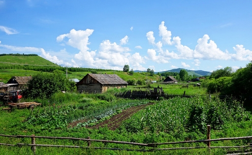 小学生组成田园风光