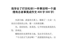 打羽毛球作文500字
