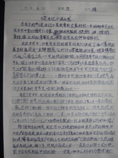 读完800字的高中作文