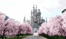 爱丽斯梦游仙境读后感