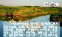 采蒲台的苇读后感