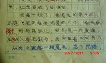 假如我是孙悟空作文