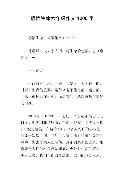 理解四年级的生活作文