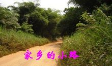 家乡的小路作文