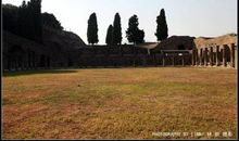 南方的毁灭读后感