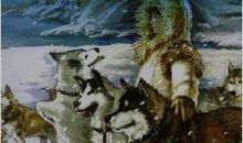 《雪橇犬之歌》读后感