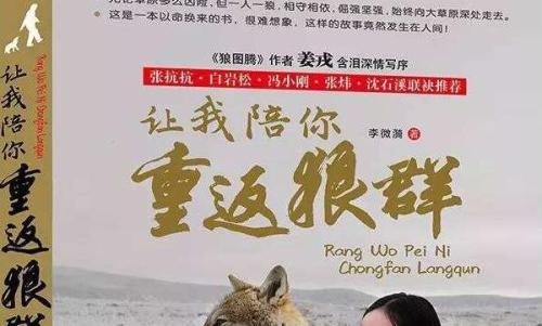 看完《让我陪你回到狼群》