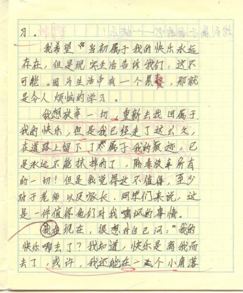 快乐星期天日记