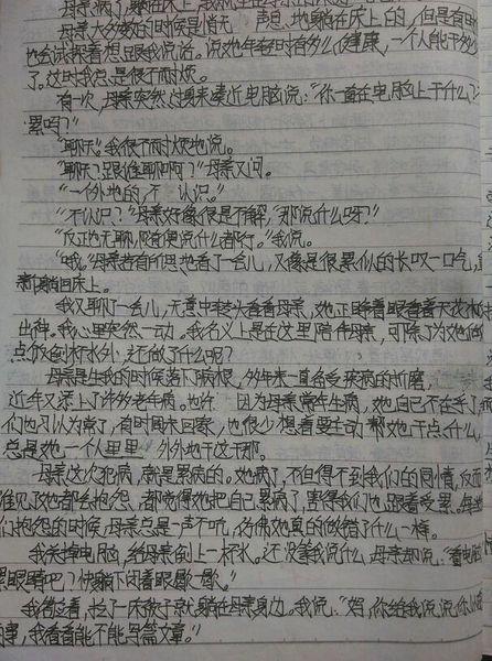 尊重老年人组成