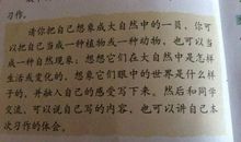 感悟自然作文700字