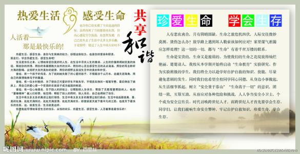 理解生活成分200字