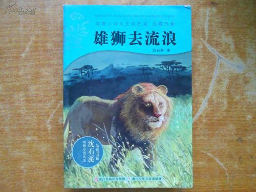 看了狮子的游荡之后