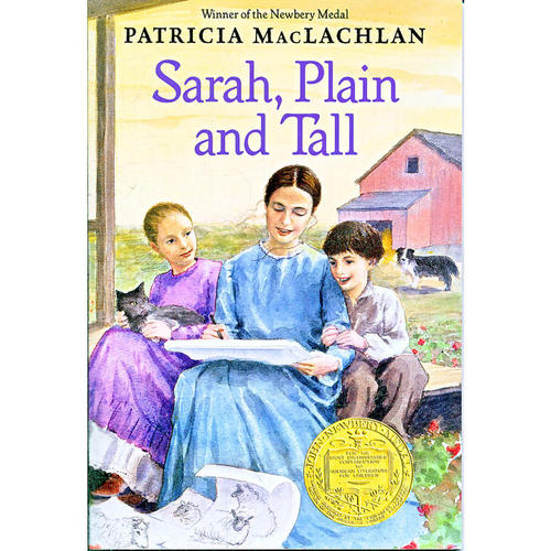 读完《丑陋的高个子莎拉》之后