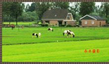 田园风光的作文